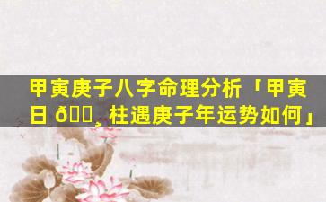 甲寅庚子八字命理分析「甲寅日 🕸 柱遇庚子年运势如何」